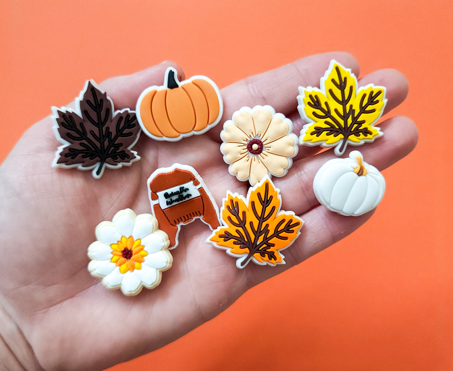 8 shoe charms bundle sweater weather leaves flower